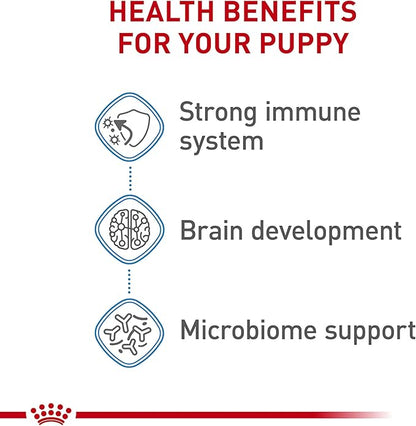 Royal Canin Size Health Nutrition Dry Large Breed Puppy Food, Supports Brain Development, Immune Support and Digestive Health, 30 lb Bag