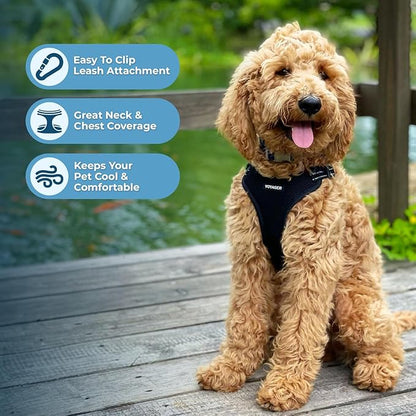 Best Pet Supplies Voyager Adjustable Dog Harness Leash Set with Reflective Stripes for Walking Heavy-Duty Full Body No Pull Vest with Leash D-Ring, Breathable All-Weather - Harness (Black), XS
