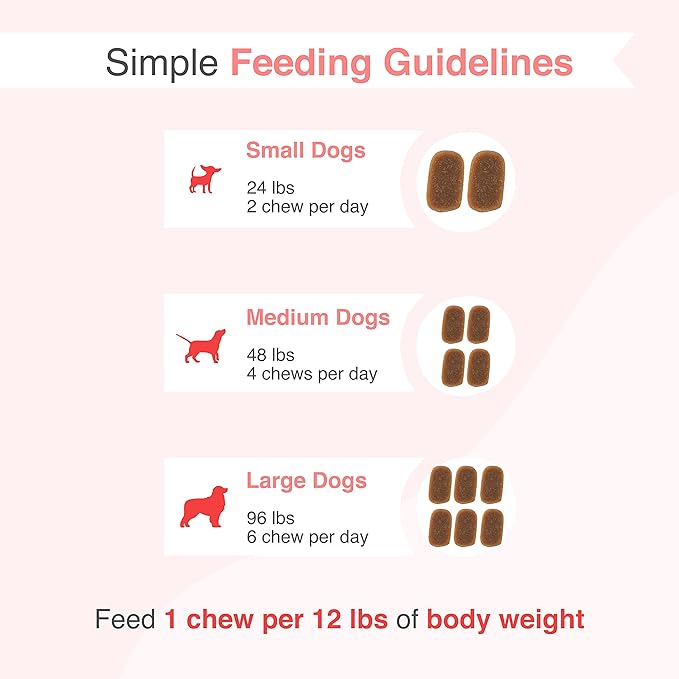 Dr. Richard's Daily Probiotic for Dogs - Daily Chew Supports Digestion, Immunity, Gut Health, Regularity with 100 Million CFUs Bacillus Coagulans & 200mg FOS Fiber for All Adult Ages