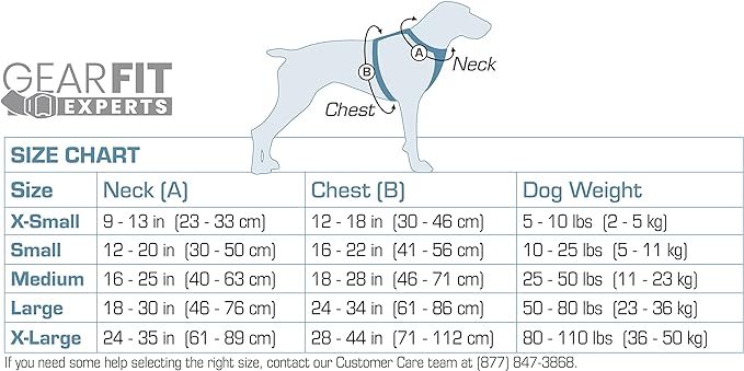 Kurgo Journey Air Dog Harness, Vest Harnesses for Dogs, Pet Hiking Harness for Running & Walking, Reflective, Padded, includes Control Handle, No Pull Front Clip (Blue, Large)