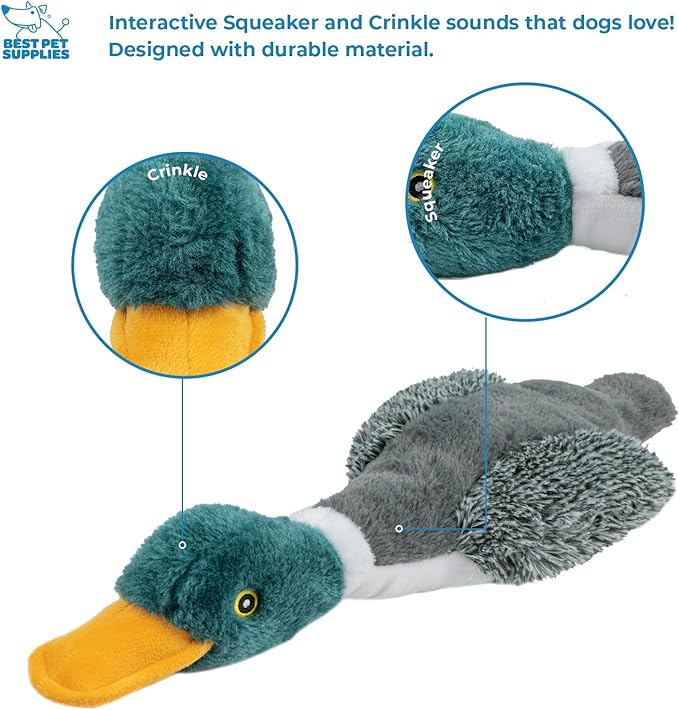 Best Pet Supplies Interactive Mallard Mates Dog Toy with Crinkle and Squeaky Enrichment for Small and Medium Breed Puppies or Dogs, Cute and Plush - Mallard Duck (Gray), Medium