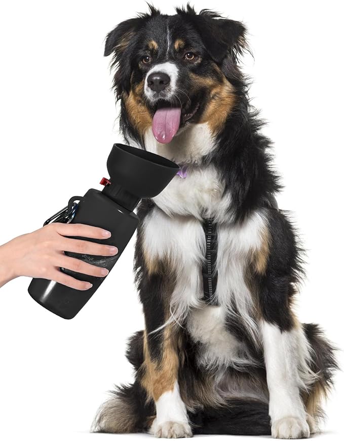 Dog Water Bottle with Bowl, 28 oz Portable Dog Water Dispenser, Pet Water Bottle for Small & Medium Dog, Travel Dog Water Bowl, Flippable Cup, Food Grade Material, Leak Proof, Black