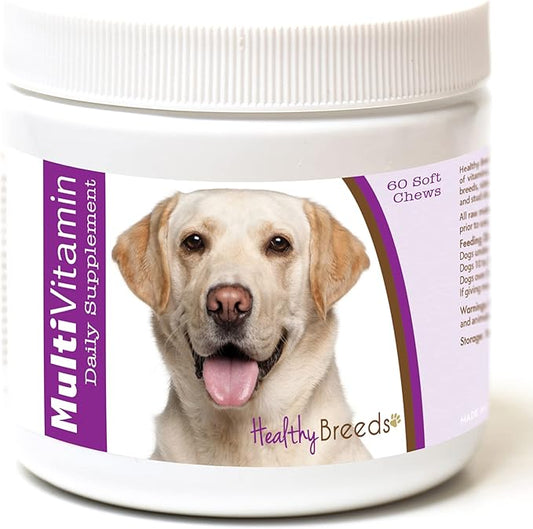 Healthy Breeds Labrador Retriever Multi-Vitamin Soft Chews 60 Count