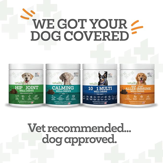 Well Chews | Soft Chew Supplements for Dogs | 60 Count | Made in USA (Skin + Coat)