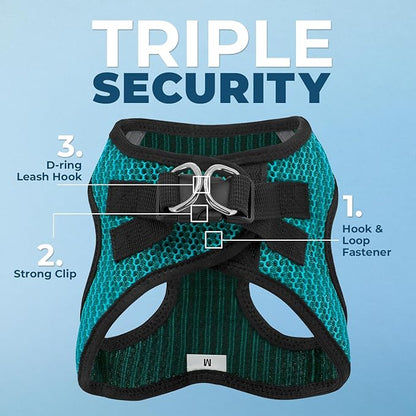 Voyager Step-in Air Dog Harness - All Weather Mesh Step in Vest Harness for Small and Medium Dogs by Best Pet Supplies - Turquoise (2-Tone), L