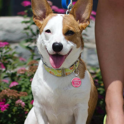 MYLUCKYTAG QR Code Pet ID Tags Dog Tags - Pet Online Profile - Scan QR Receive Instant Pet Location Alert Email