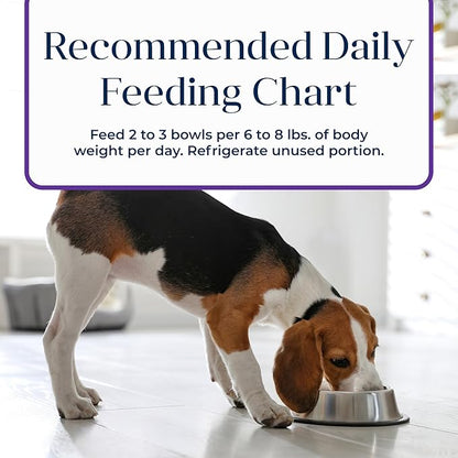Blue Buffalo Basics Grain-Free Wet Dog Food for Small Breed Adult Dogs, Limited Ingredient Diet, Turkey Recipe, 3.5-oz. Cup