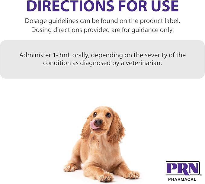 PRN Pharmacal Calsorb - Calcium Nutritional Supplement to Help Maintain Healthy Calcium Levels in Dogs - Gel-Based Dog Nutritional Supplement in an Easy-to-Use Syringe - 12 mL Syringe (3 Packs)