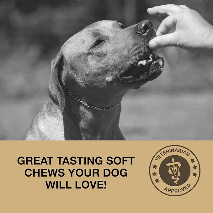 Anal Gland Support Soft Chews for Dogs - Dog Supplements with Beet Pulp, Psyllium Husk, Dandelion Root & Pumpkin - Digestive & Gut Health, Normal Bowel Function - Beef Flavor, 60 Count