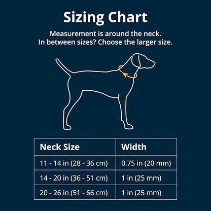 Ruffwear, Crag Dog Collar, Reflective and Comfortable Collar for Everyday Use, Canyon Oxbow, 14"-20"