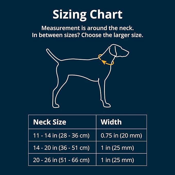 Ruffwear, Crag Dog Collar, Reflective and Comfortable Collar for Everyday Use, Canyon Oxbow, 20"-26"