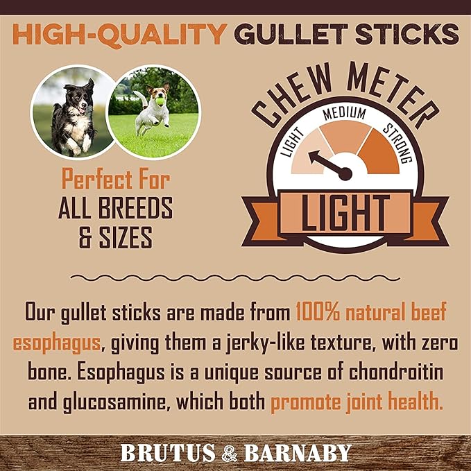 Beef Jerky For Dogs, All Natural Single Ingredient Beef Esophagus Chews, Healthy Beef Flat Gullet Strips, Naturally Occurring Glucosamine & Chondroitin Helps Joint Function, Great For Any Dog Size
