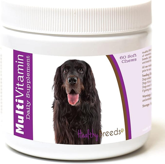 Healthy Breeds Gordon Setter Multi-Vitamin Soft Chews 60 Count