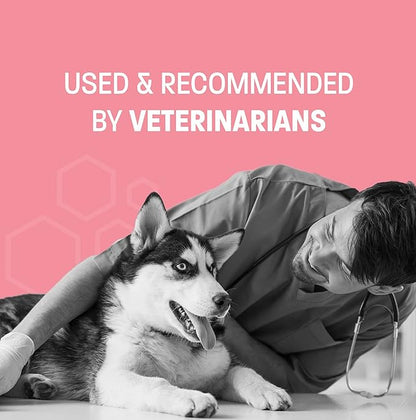 Dog Probiotic Chews for Dogs - Support Healthy Digestion Dog Probiotics and Digestive Enzymes for Gut Health for Dogs - for Traveling, Kenneling and Training - Small/Medium Dog - 30 ct