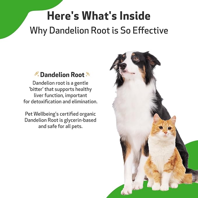 Pet Wellbeing Dandelion Root for Dogs & Cats - Liver, Digestive, Cardiovascular, Blood Sugar Support - Natural Herbal Supplement 4 oz (118 ml)