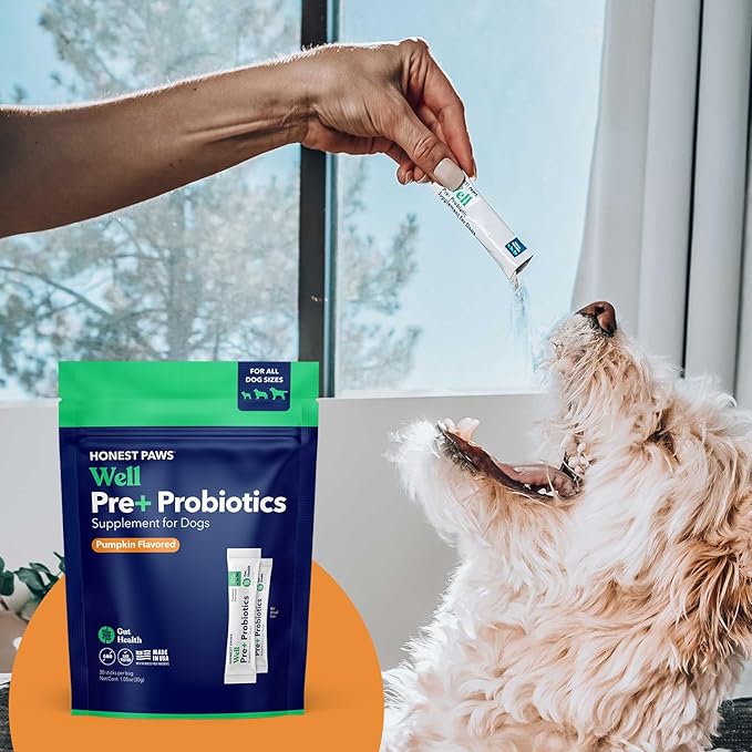 Honest Paws Probiotics for Dogs - Dog Digestion Gut Health Probiotic Powder with Prebiotic Made in The USA, Digestive and Immune Support - Digestive Enzymes with Pumpkin Flavor (30 Sticks)