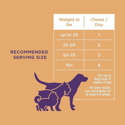 Natural Rapport Dog Skin and Coat Supplement - The Only Skin and Coat Soft Chews Dogs Need - 120ct Treats That Contain Salmon Oil and Omegas 3, 6, & 9 for a Healthy Coat
