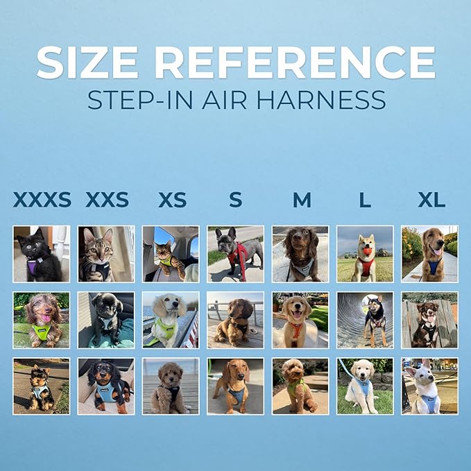 Voyager Step-In Air Dog Harness - All Weather Mesh Step in Vest Harness for Small and Medium Dogs by Best Pet Supplies - Blue Trim, Small