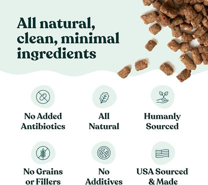 Freeze Dried Fresh Dog Food Raw Beef Recipe - Picky Eater-Approved Limited Ingredient Dog Food for All Stages - High Protein, Small Batch, Grain Free Raw Dog Food, 15 oz