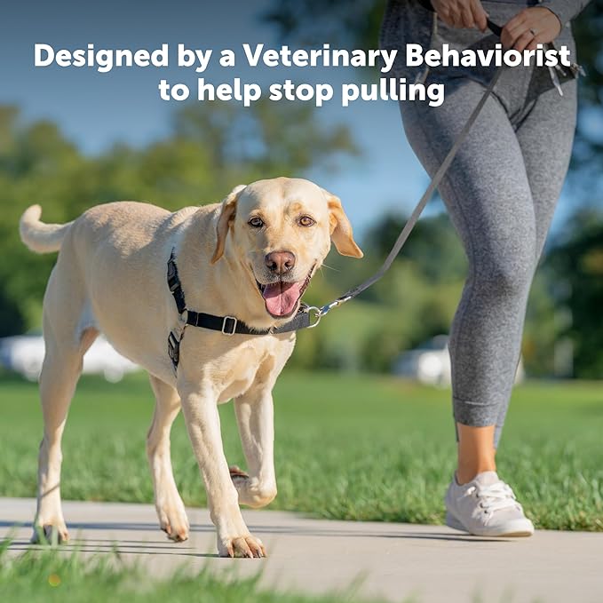 PetSafe Easy Walk Dog Harness - No Pull Dog Harness - Small, Deep Purple