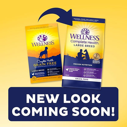 Wellness CORE Grain-Free High-Protein Large Breed Dry Dog Food, Natural Ingredients, Made in USA with Real Chicken (Adult Dog, 24-Pound Bag)