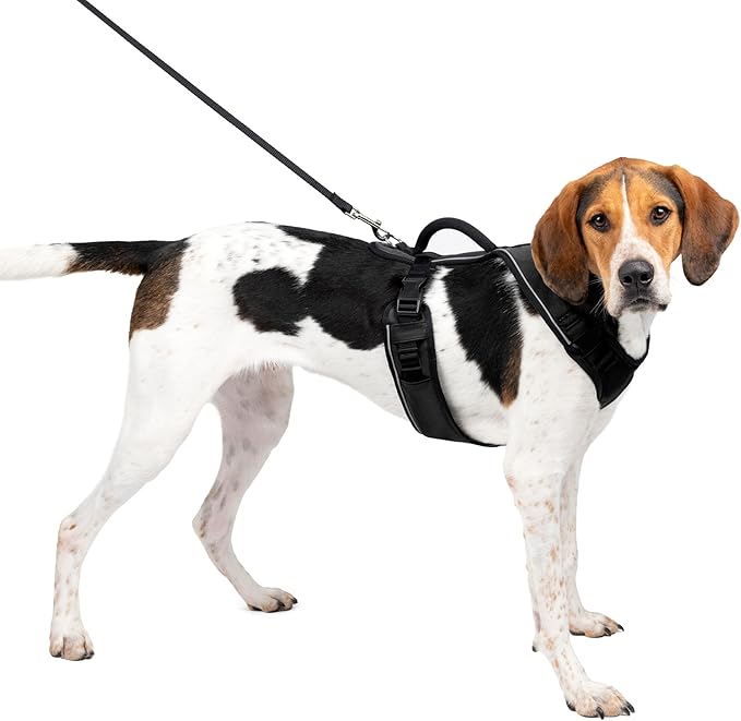 PetSafe EasySport Dog Harness – Adjustable, Padded Dog Harness with Control Handle and Reflective Piping – Large, Black
