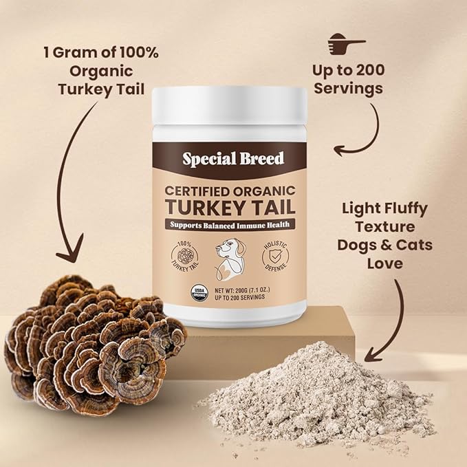 Turkey Tail Mushroom for Dogs and Cats - Certified Organic Turkey Tail Powder, Canine Immune Support, 200 Grams