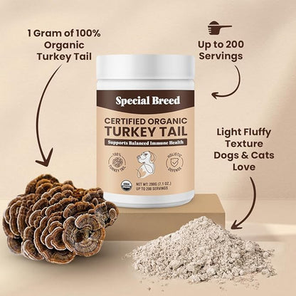 Turkey Tail Mushroom for Dogs and Cats - Certified Organic Turkey Tail Powder, Canine Immune Support, 200 Grams