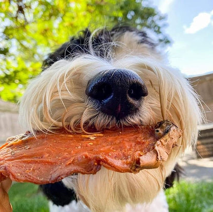 Sweet Potato Slices For Dogs - Single Ingredient Grain Free Dog Treats, Best High Anti-Oxidant Healthy 100% Natural Thick Cut Dried Sweet Potato Dog Treats With No Added Preservatives (5lb)