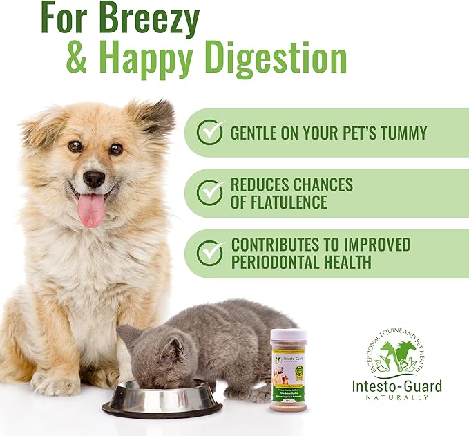 Powder Prebiotic Probiotics for Dogs & Cats Bowel Digestive Immune Support Supports Gut Flora Nutrition Immunity 180G Bottle - 90 Scoops (Powder)