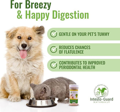 Powder Prebiotic Probiotics for Dogs & Cats Bowel Digestive Immune Support Supports Gut Flora Nutrition Immunity 180G Bottle - 90 Scoops (Powder)