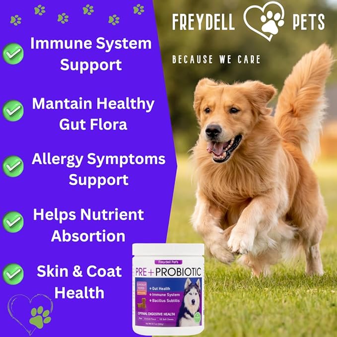 FREYDELL Pets Probiotics for Dogs Dog Upset Stomach Relief Dog probiotic, Fiber Supplement for Dogs, Yeast Infection Treatment for Dogs & Dog Diarrhea Medication, Probiotic for Dogs of All Ages.