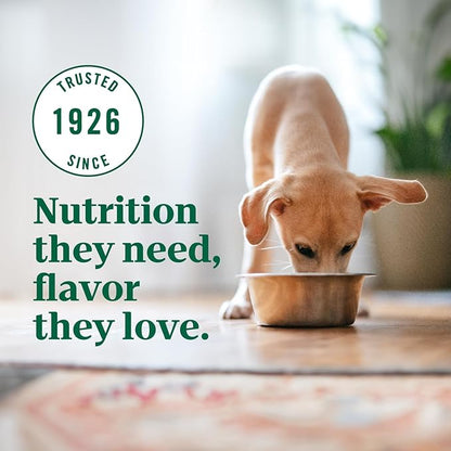Nutro Ultra High Protein Dry Puppy Food, Trio of Proteins from Chicken, Lamb and Salmon, 12 lb. Bag
