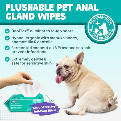 HICC Pet Flushable Plant Based Dog Wipes for Pets Cleansing & Deodorizing Anal Gland Hygienic Wipes for Dogs & Cats -Grooming Wipes for Paws, Body, and Butt -Puppy Essentials (400 Count)