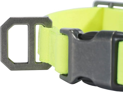 Carhartt Nylon Duck Dog Collar, Fully Adjustable Durable 2-Ply Cordura Nylon Canvas Collars for Dogs, Brite Lime, Large