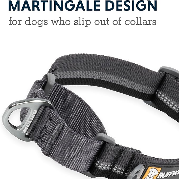 Ruffwear, Web Reaction Dog Collar, Martingale Collar for On-Leash Walking, Basalt Gray, 17"-20"