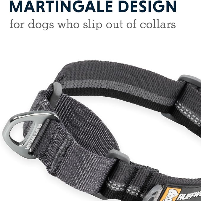 Ruffwear, Web Reaction Dog Collar, Martingale Collar for On-Leash Walking, Blue Pool, 20"-23"
