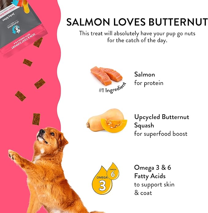 Shameless Pets Jerky Dog Treats, Salmon Loves Butternut - Healthy Dog Chews for Dogs Skin & Coat with Omega 3 & 6 - Dog Treats with Real Wild-Caught Salmon - Free from Grain, Corn & Soy - 1-Pack
