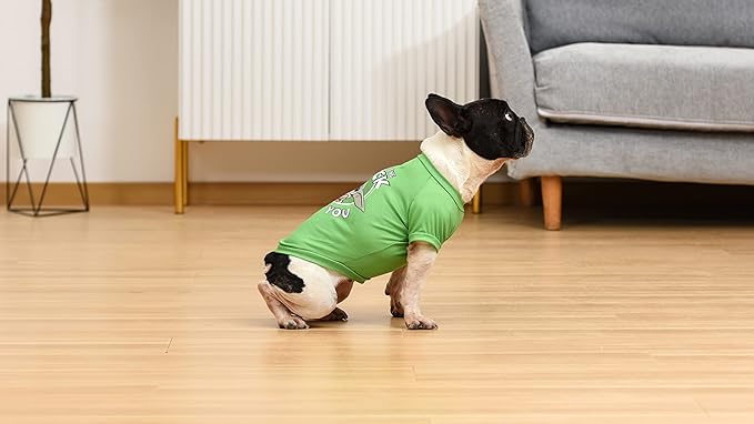 Star Wars for Pets Grogu May The Luck Be with You Dog Tee for St. Patrick’s Day | Size Large | Star Wars Dog Clothing and Apparel, Cute Dog Clothes, Green (FF20332) (Pack of 2)