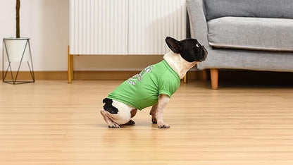 Star Wars for Pets Grogu May The Luck Be with You Dog Tee for St. Patrick’s Day | Size Large | Star Wars Dog Clothing and Apparel, Cute Dog Clothes, Green (FF20332) (Pack of 2)