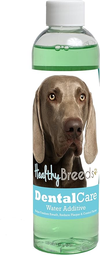 Healthy Breeds Dog Dental Care Water Additive for Weimaraner - Helps Freshen Breath, Reduce Plaque & Control Tartar - Mint Flavor - 8 oz