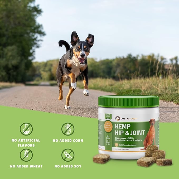 Hemp Hip and Joint Supplement for Dogs with Hemp Oil, Glucosamine Chondroitin, MSM, Omega 3&6, Promotes Healthy Normal Cartilage Development and Healthy Joints