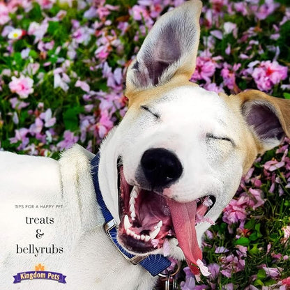 Duck Breast Jerky, Premium Treats for Dogs, 40 oz. Bag