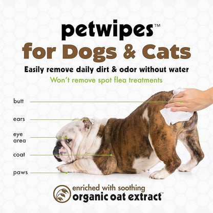 Petkin Mega Val-Pak Pet Wipes, 125 Wipes - Oatmeal Pet Wipes for Dogs and Cats - for Face, Paws, Ears, Body and Eye Area - Super Convenient Dog Cleaning Wipes, Ideal for Home or Travel - Easy to Use