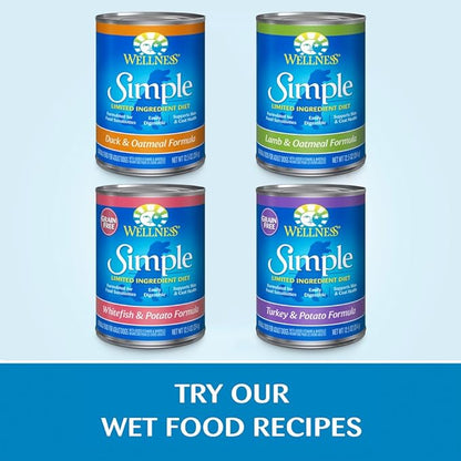 Wellness Natural Pet Food Simple Natural Limited-Ingredient Grain-Free Dry Dog Food, Easy to Digest for Sensitive Stomachs, Supports Skin & Coat (Small Breed, Salmon and Potato, 10.5-Pound Bag)