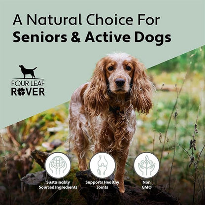 Hip & Joint - Mobility & Joint Support with Glucosamine and Chondroitin for Dogs, 4.8 oz - 44 to 120 Day Supply, Depending on Dog’s Weight - Vet Formulated - Easy to Mix - Delicious