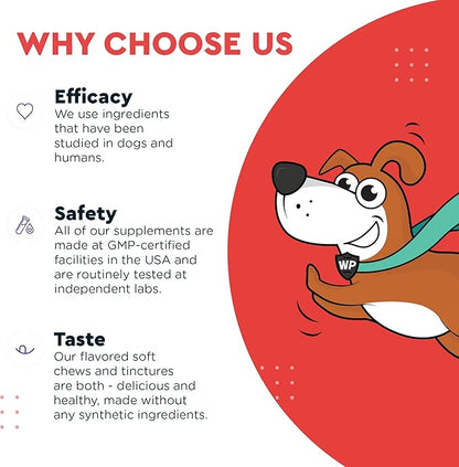 Cardio Support for Dogs – Cardiovascular Chews Heart Health, Circulation, Energy & Weight Management - with L-Carnitine, Hawthorn Berry, Coenzyme Q10 & Taurine for Dogs – 90 Soft Chews