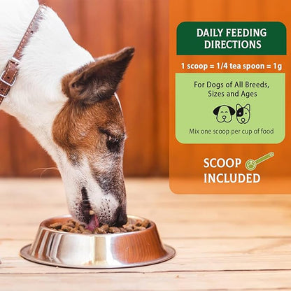 Probiotics for Dogs - Probiotic Powder for Dogs, Dog Probiotics for Immune and Digestive Health -120 Scoops Liver Flavored Probiotic supplement