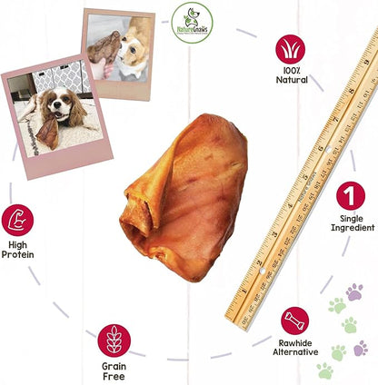 Nature Gnaws Pig Ears for Dogs - Premium Natural Pork Dental Chews - Thick Long Lasting Dog Chew Treats for Aggressive Chewers - Rawhide Free 15 Count (Pack of 1)