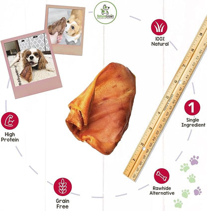 Nature Gnaws Pig Ears for Dogs - Premium Natural Pork Dental Chews - Thick Long Lasting Dog Chew Treats for Aggressive Chewers - Rawhide Free 8 Count (Pack of 1)